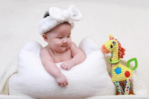 国内试管代孕同志适合什么蜂蜜